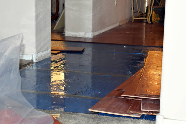Professional Burst Pipe Cleanup technician working in Gleason, TN